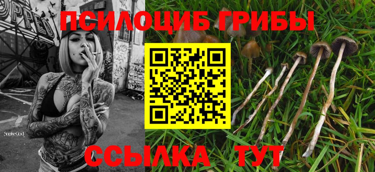 Галлюциногенные грибы Psilocybe  Вход с VPN  Воскресенск 