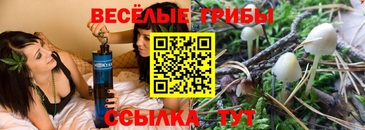 Галлюциногенные грибы Psilocybe Воскресенск